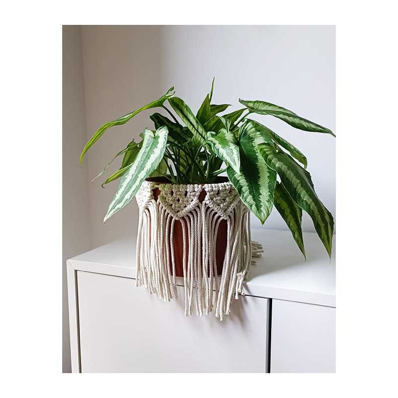 Tour de pot/ vase en macramé